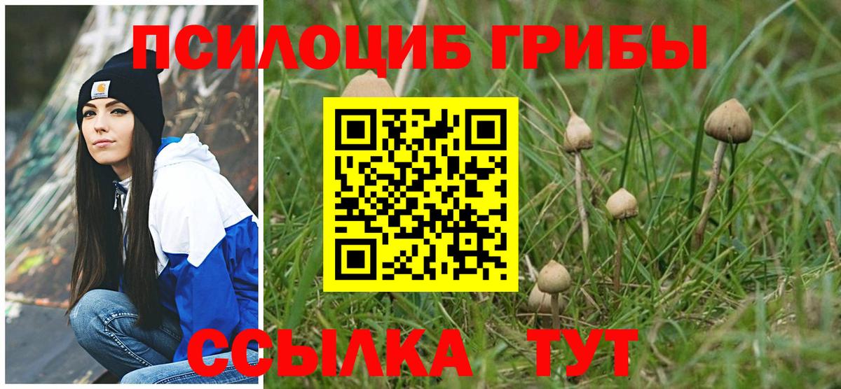 Галлюциногенные грибы MAGIC MUSHROOMS Великие Луки